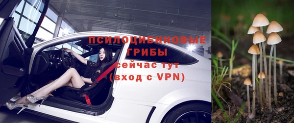 дмт Алексин