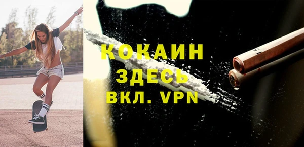 дмт Алексин