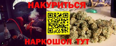 шишки Моздок