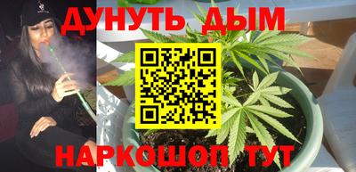 шишки Моздок