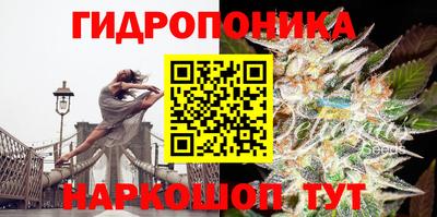 МДМА Можга