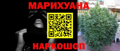 шишки Моздок