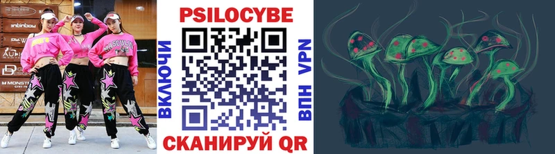 Галлюциногенные грибы Psilocybine cubensis  Иваново 