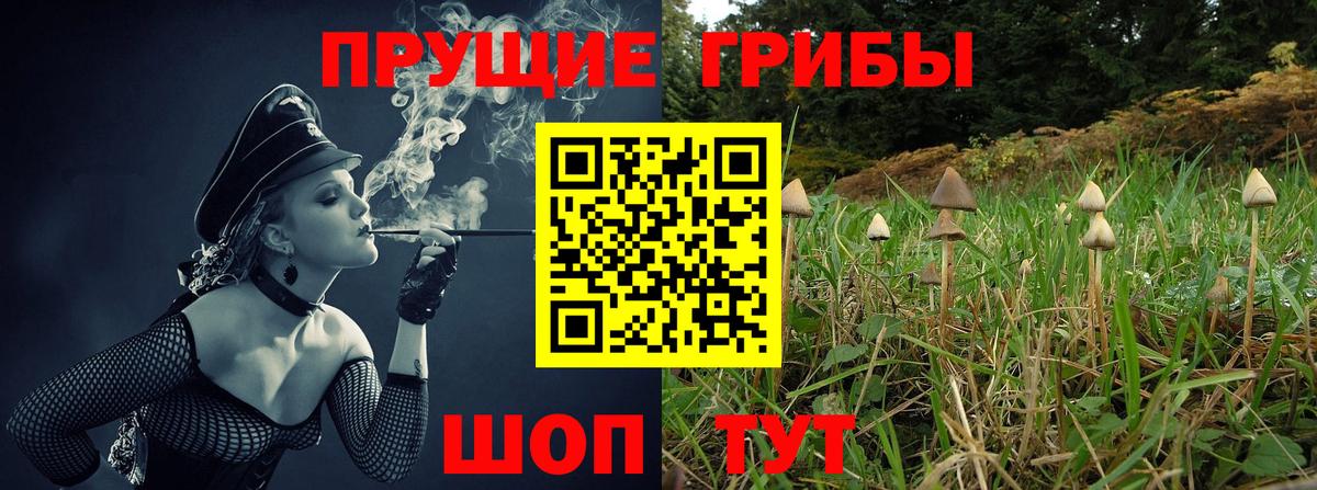 Псилоцибиновые грибы MAGIC MUSHROOMS  Вход с VPN  Иваново 