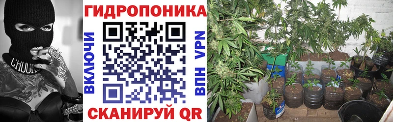 Канабис конопля  Иваново 